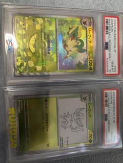 PSA10 リーフィア 2枚セット マスターボール YU NAGABA PSA10 リーフィア 2枚セット マスターボール YU NAGABA - メルカリ