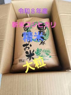 農家自慢のお米 10kgのサムネイル