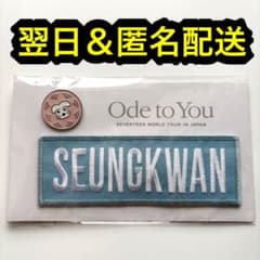 seventeen ワッペンバッジ ワッペン ピンズ ピンバッジ スングァン