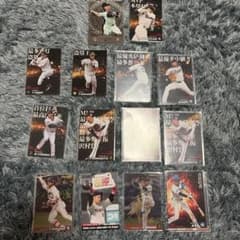 プロ野球 トレーディングカード 13枚セットのサムネイル