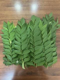 カレーリーフのサムネイル
