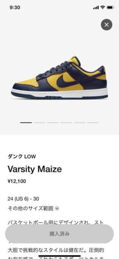 NIKE DUNK LOW Varsity Maizeのサムネイル