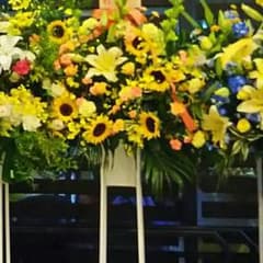おかんさん 専用のサムネイル