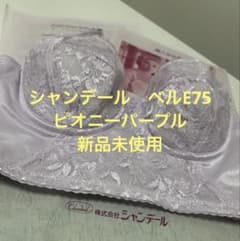 シャンデール ロングブラジャーE75 - メルカリ
