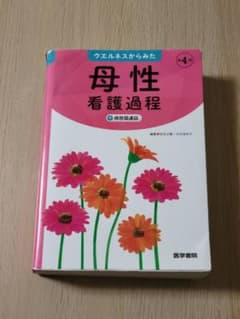 ウエルネスからみた 母性看護過程 第4版: +病態関連図のサムネイル
