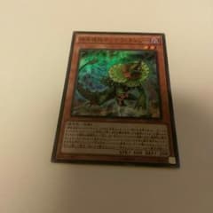 【遊戯王】捕食植物サンデウ・キンジーのサムネイル