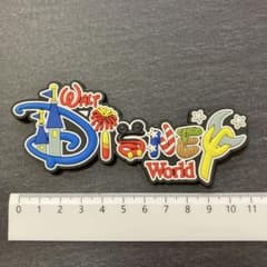 ウォルトディズニーワールド　マグネット　Disney フロリダのサムネイル