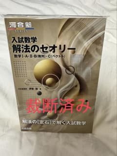 裁断済み】 入試数学 解法のセオリー 数学ⅠAⅡB（数列）・C
