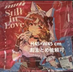 s*n様 ウマ娘 Bic camera ビックカメラ クッションカバー スティル