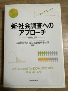 新・社会調査へのアプローチ 論理と方法のサムネイル
