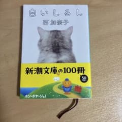 白いしるしのサムネイル