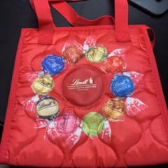 【美品】Lindt リンツ 2024 福袋 保冷バッグ