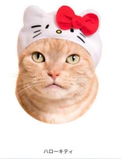 ねこのかぶりもの キティのサムネイル