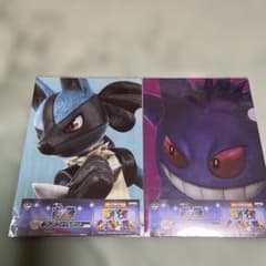 ポケモン ポッ拳クリアファイルセット 2枚入り2セット