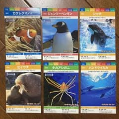鴨川シーワールド カモシーカード全6種類のサムネイル