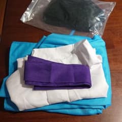 千と千尋の神隠し ハク 様 ウィッグ セットのサムネイル