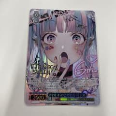 かわいいのこだわり　パレオBDRのサムネイル