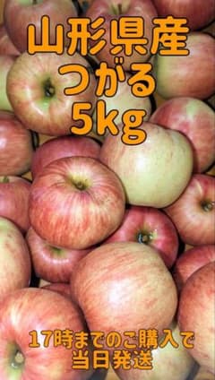 山形県産　りんご　つがる　5kg 自家用向きのサムネイル