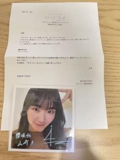 m98978592724_1.jpg?1732368827