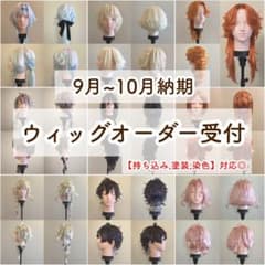 らーちゃ様 ウィッグオーダー①材料費ページ コスプレ ウィッグオーダー 【受付中】 - メルカリ
