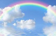 陽LOVE様専用のサムネイル