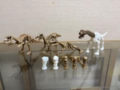 ほねほねザウルスｘ福井県立恐竜博物館ＳＰのサムネイル