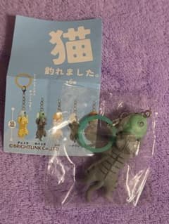 猫 釣れました。 サバトラのサムネイル