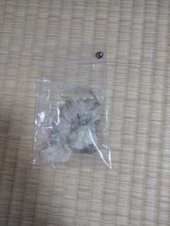 蛇の脱け殻 蛇皮 脱皮のサムネイル