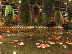 発送15日様専用のサムネイル