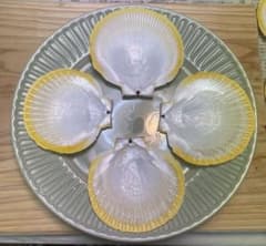 希少 月日貝殻 ハンドメイド材料 小皿 夏休み工作 ろうそく立て オマケ