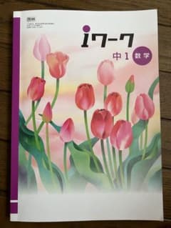 iワーク 中1 数学 + 解答・解説 + iワークプラス 中1 数学のサムネイル