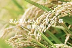 リピート割引令和7年愛知県産 あいちのかおり【精米20kg】送料込 お米