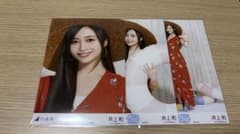 乃木坂46真夏の全国ツアー2026 東京スペシャル 井上和 コンプのサムネイル