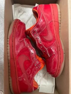 世界12足 非売品 NIKE DUNK TERRA テラ 寺田 克也 - メルカリ