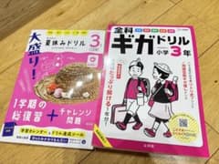 小学3年生 全科ギガドリル&夏休みドリル　新品未使用。汚れは有のサムネイル