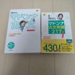 マドンナ古文 ＋マドンナ古文常識217のサムネイル