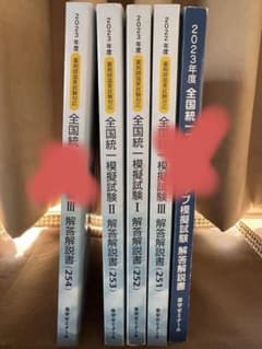 薬剤師国家試験 全国統一模擬試験 解答解説書252、253回 - メルカリ