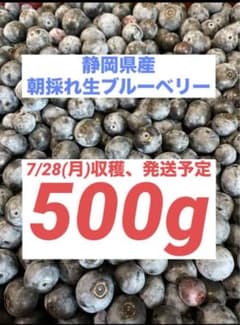 【静岡県産・無農薬】朝採れ生ブルーベリー 500gのサムネイル