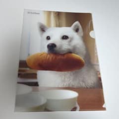 SoftBank お父さん クリアファイルのサムネイル