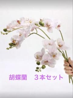 胡蝶蘭　造花のサムネイル