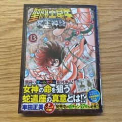 聖闘士(セイント)星矢NEXT DIMENSION冥王神話 13のサムネイル