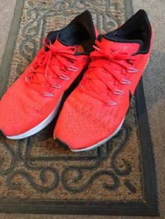 NIKEペガサス　オレンジ　28cmのサムネイル