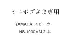 NS-1000MMのサムネイル