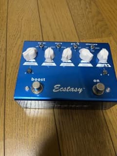 Bogner Ecstasy Blueのサムネイル