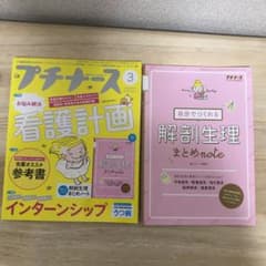 プチナース 2019年3月号のサムネイル