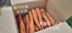 瀬戸内海佐木島産人参3キロ　☆栽培期間中、農薬、化学肥料不使用のサムネイル