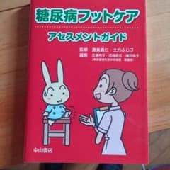 糖尿病フットケアアセスメントガイド/渥美義仁,土方ふじ子,佐藤和子,宮崎貴代,…のサムネイル