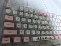 핑크 화이트 키 캡 KEYCAP