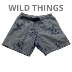 Rare WILD THINGS x Grateful Dead Collaboration Climbing Pants