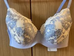 トリンプ ブラジャー ワコール